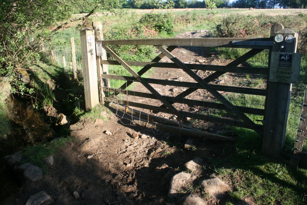 Close-up-gate-27th-May-2010