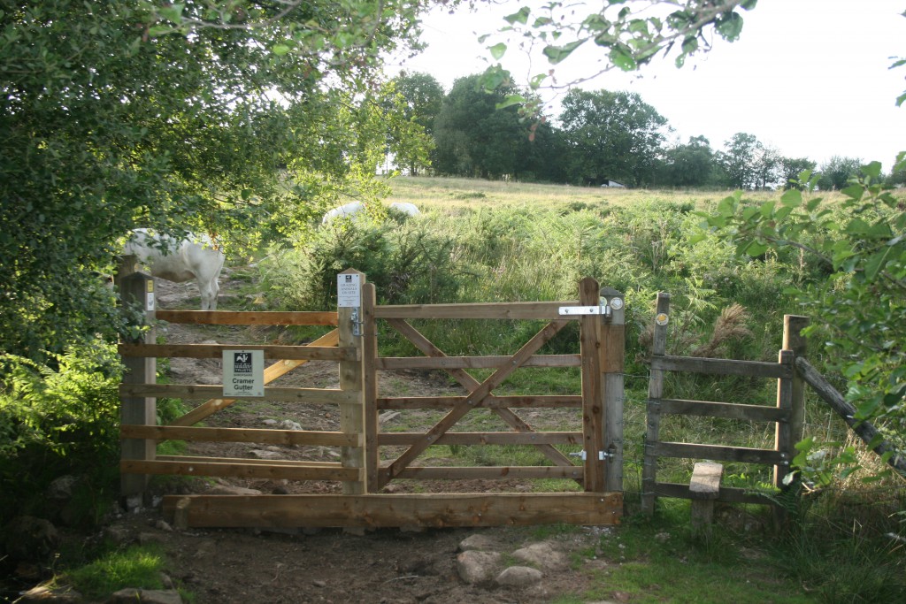 New-gate-5th-July-2010