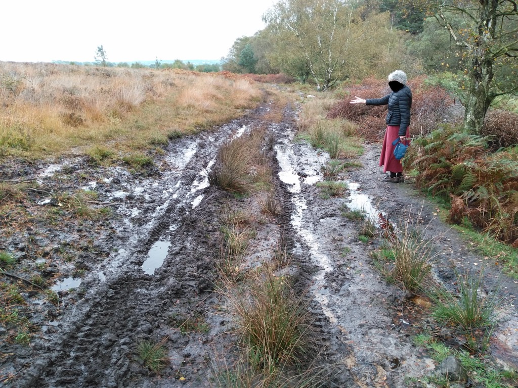 Tyre-tracks-leading-across-Catherton-Common-15th-October-2019 Tyre-tracks-leading-across-Catherton-Common-15th-October-2019