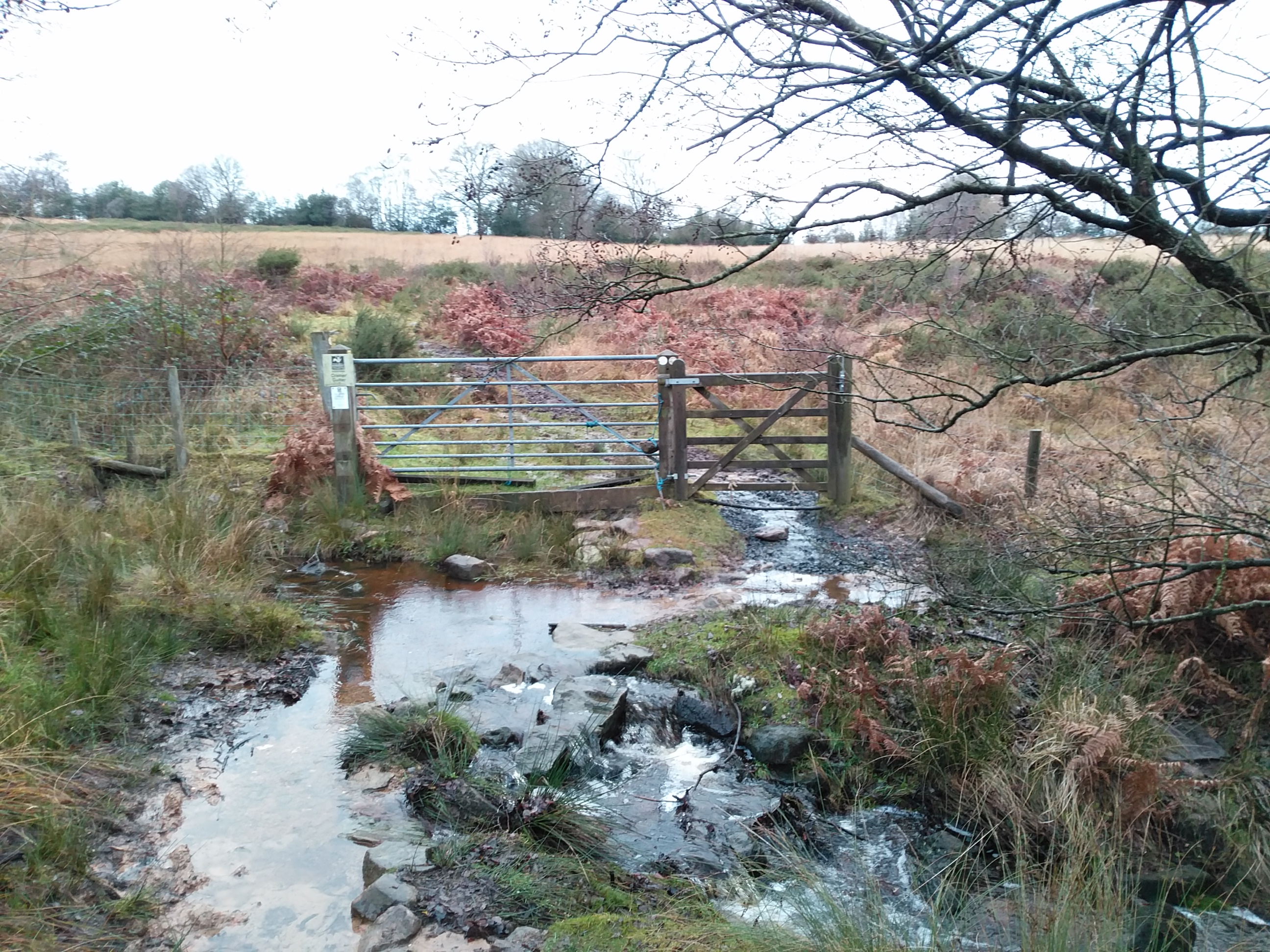 Cramer Gutter brook 14th December 2019