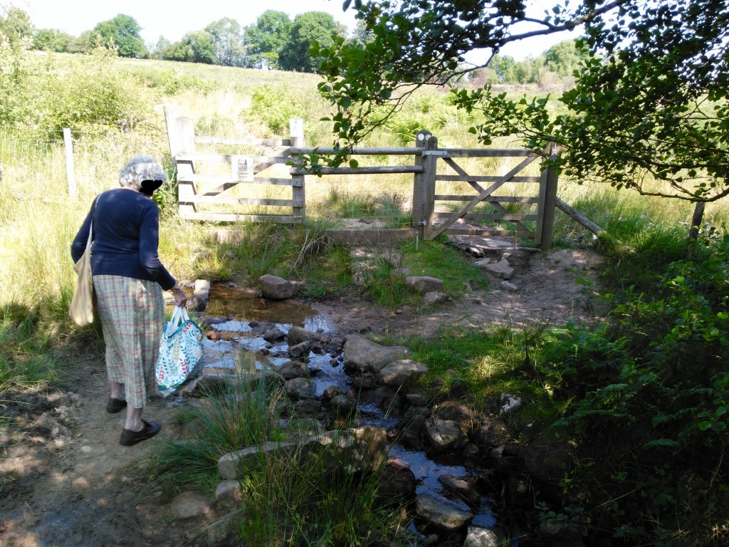 Judith attempting to cross Cramer Gutter brook 4th July 2018