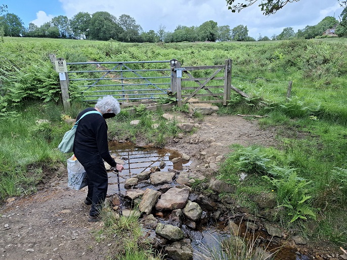 Judith crossing Cramer Gutter brook 9th June 2026
